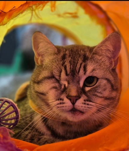 Güzelmkıza yuva fotoğraf