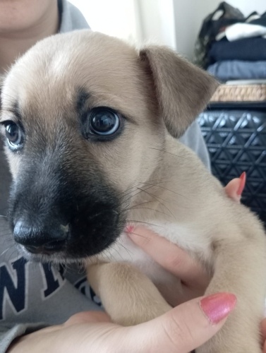 Biberonla büyütülmüş bebiş insanını arıyor fotoğraf