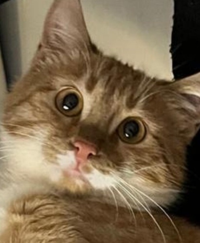 Mutlu eden bebek Mutlu fotoğraf