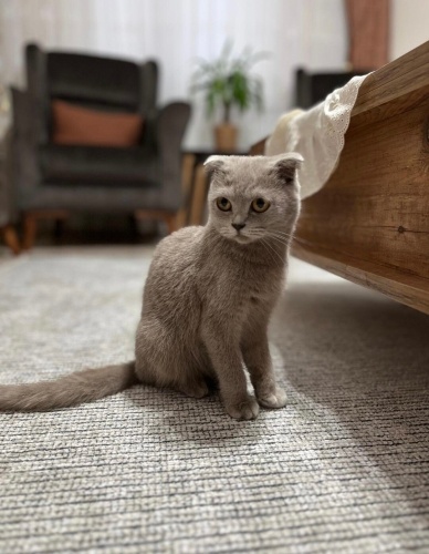 Sokağa terkedilmiş minik kız fotoğraf
