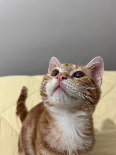 Tek gozlu sevecen bir erkek. 🥰 fotoğraf