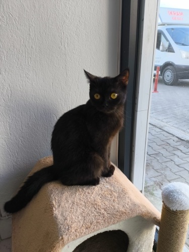 YUVAM olur musunuz fotoğraf