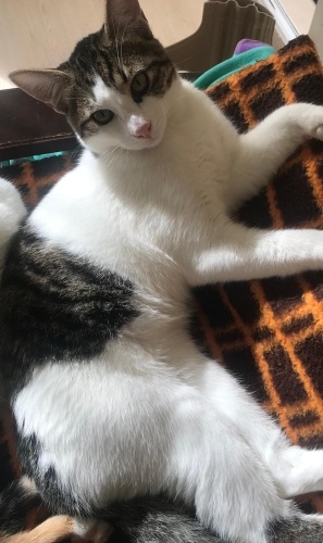 Sevilmeyi hakediyor fotoğraf