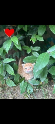 Bebeğimize güvenilir yuva fotoğraf