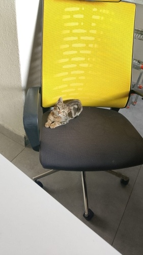 Adı gibi erkek güzeli Behlül fotoğraf
