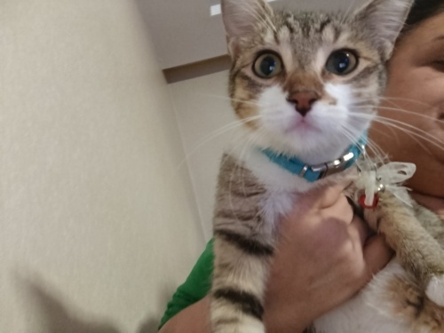 Kızımız üzum icin ömurluk yuva🙏 fotoğraf