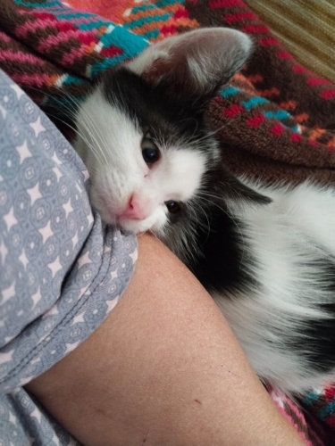 BU CANPARAEYE GÜZEL YUVA fotoğraf