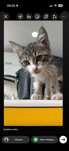 KUCAK DELİSİ BU MIRMIR PRENSESE BİR ŞANS VERİN fotoğraf