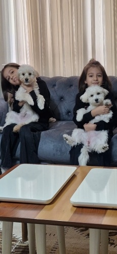 Birbirine Bağlı İki Can Yuva Arıyor 💕” fotoğraf