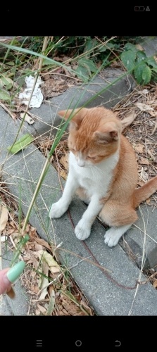 Güzel prensesimize yuva arıyoruuz acil fotoğraf