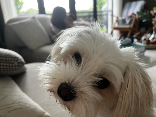 Güzel kızımıza ömürlük yuva fotoğraf