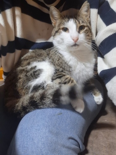 SESİNİ KİMSE DUYMUYOR fotoğraf