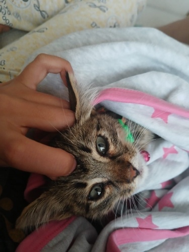 Annesi ölmüş tek başına yanında beklerken bulduk fotoğraf