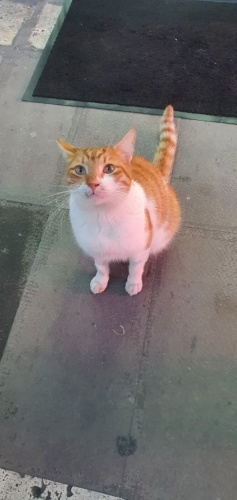 Masrafları Ömür Boyu Karşılanılacak, Yeter ki Yuvası Olsun fotoğraf
