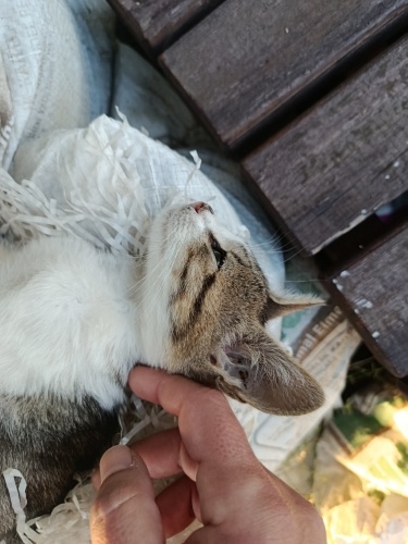 Bir umuttur yaşamak fotoğraf