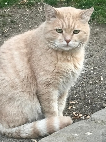 Çok mahsun sıcak bir yuva fotoğraf