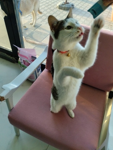 Centilmen bir erkek tırnak çıkarmaz huysuz değil sadece sevgi sarılsın fotoğraf