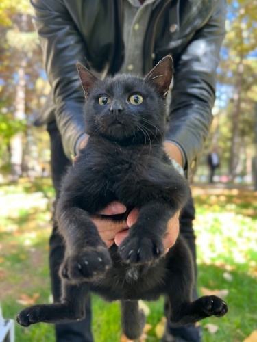 BITTER İÇİN YUVA ❤️ fotoğraf