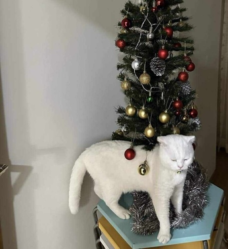 Maddi manevi baka bilenler arasın lütfen fotoğraf