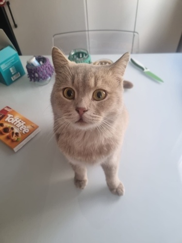 25 yaş altı kesinlikle aramasın!!!!! fotoğraf