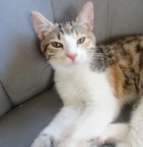 Güvenilir bir yuva fotoğraf