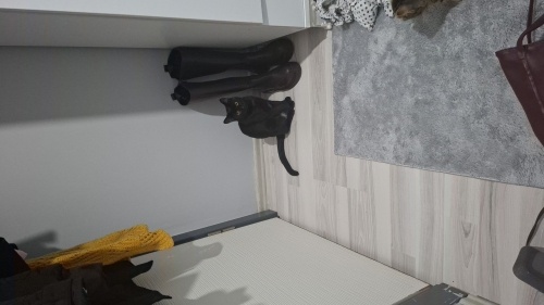 Evden atılan güzel bebeğe yuva arıyoruz fotoğraf