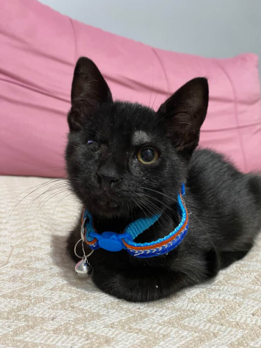 BU GÜZEL BEBEĞİN IŞIĞI OLUN❤️ SOKAKLARA KARANLIĞA DÖNMESİN fotoğraf