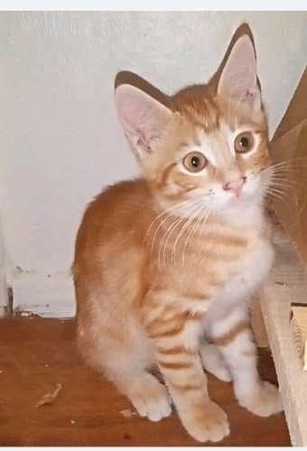 Çok yakışıklıyım. fotoğraf