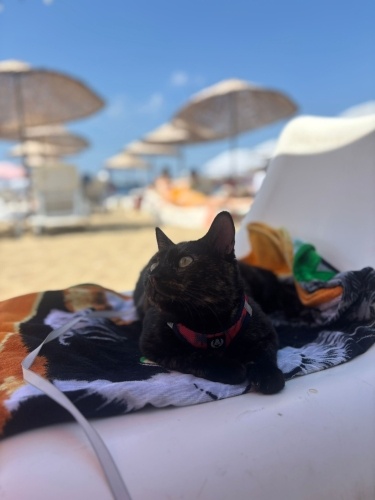 Şirin işitme engelli ona ömürlük ailesini arıyoruz fotoğraf