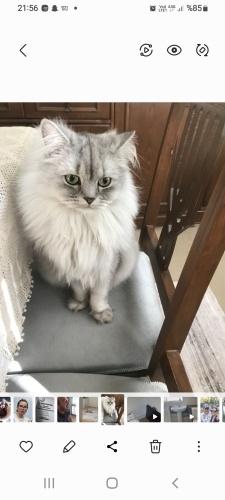 Çok masum ilgi aşığı fotoğraf