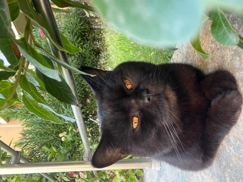 YUVA İÇİN SON 3 GÜN! fotoğraf