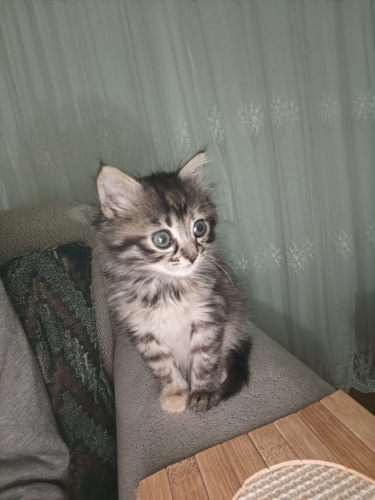 Ailem olurmusunuz.. fotoğraf