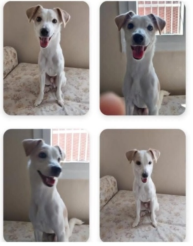 Ömürlük yuvam olurmusunuz fotoğraf