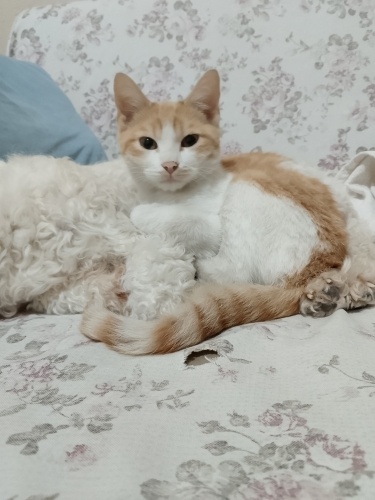 Ömürlük yuvam olurmusun fotoğraf