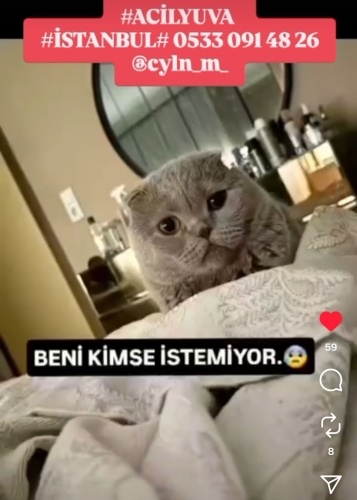 ACİİLL ‼️ÜRETIMDEN KURTARILDI ‼️ fotoğraf