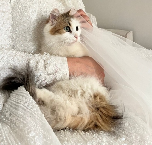 Güzeller güzeli nazlı kızım fotoğraf