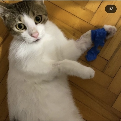 LÜTFEN BENİDE AİLENİZE ALIR MISINIZ fotoğraf