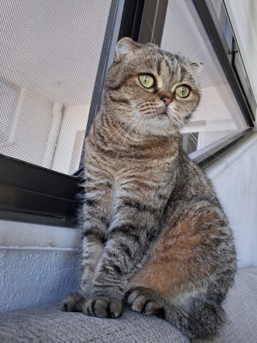 Duygusal naif sakin fotoğraf