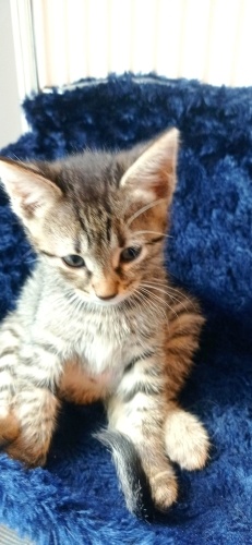 Çok güzelim çok fotoğraf