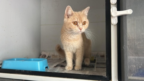 Tekirdağ İstanbul Kocaeli fotoğraf