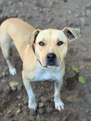 Ona bebek gibi bakacak ailesini arıyoruz fotoğraf