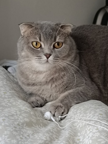 terk edilmis bir cocuk fotoğraf