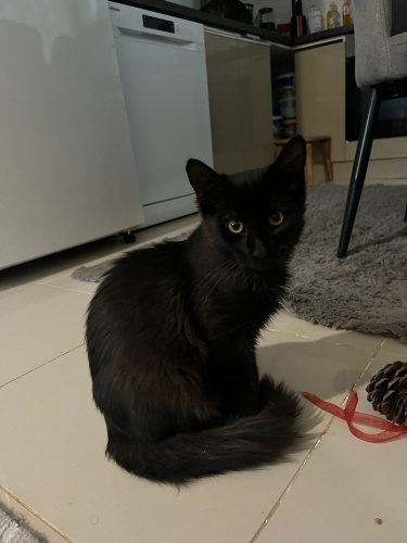 6 KARDEŞİMDEN GERİYE BİR TEK BEN KALDIM,BANA EVİNİZİ AÇAR MISINIZ? fotoğraf