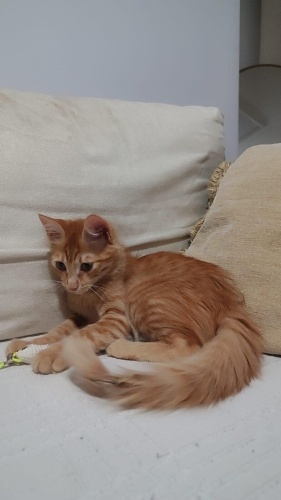 Çok cana yakın bir kız fotoğraf