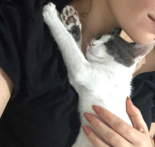 Acil yuva aranıyor fotoğraf