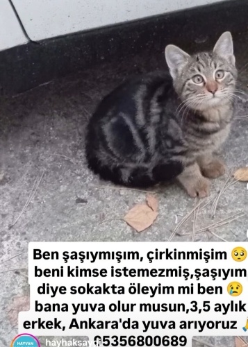 GÖZ BEBEKLERİM YERİNE KALBİMDEKİ SEVGİME BAK‼️ fotoğraf