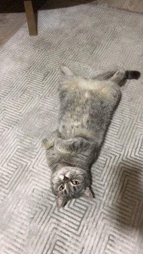 Korkak ama meraklı miniğimm fotoğraf