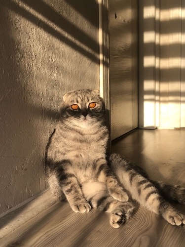 Sevgi pıtırcığım fotoğraf