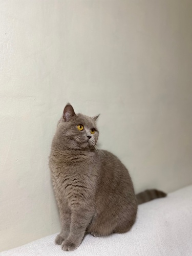 Prenses kızımızı sahiplenecek yuva arıyoruz fotoğraf