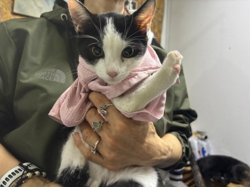 Lütfen Ona Şans Verin fotoğraf